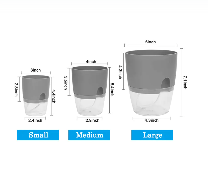 Transparent Self-Watering Plant Pot