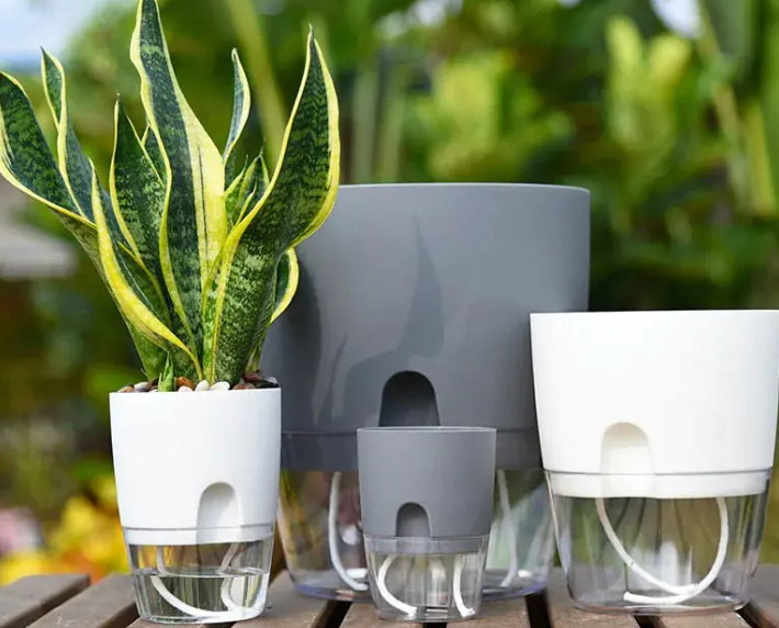 Transparent Self-Watering Plant Pot