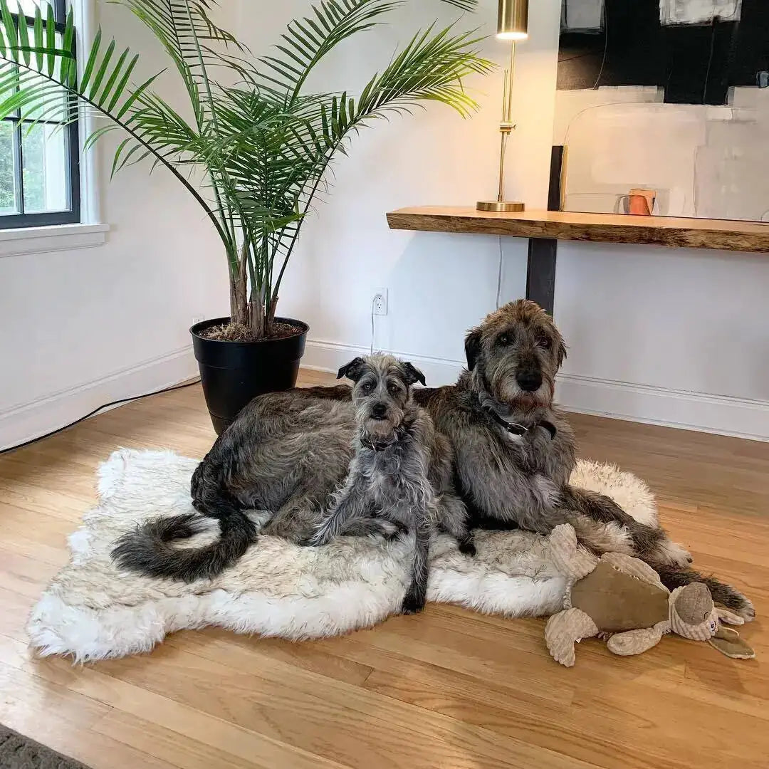 Faux Fur Dog Bed